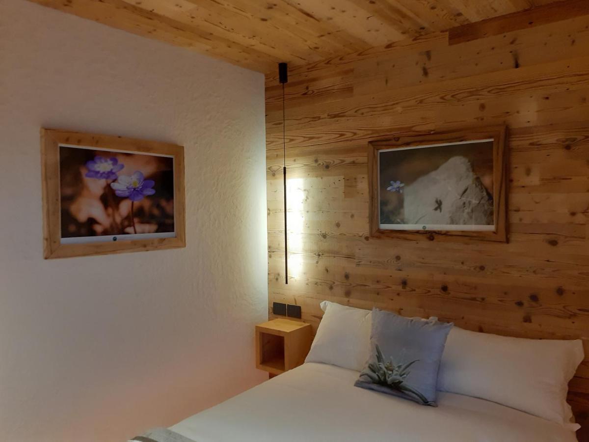 B&B Il Bucaneve Santo Stefano Di Cadore Zewnętrze zdjęcie