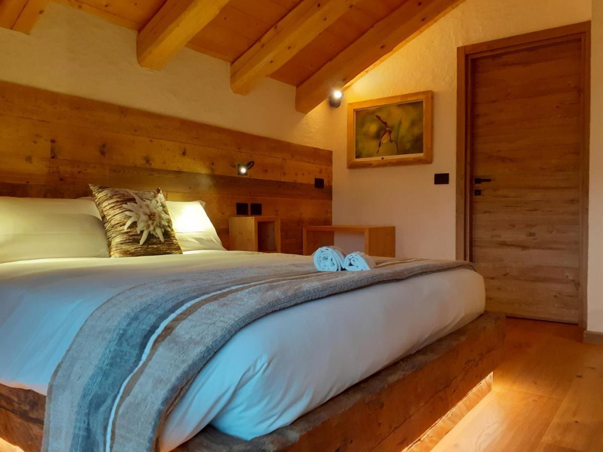 B&B Il Bucaneve Santo Stefano Di Cadore Zewnętrze zdjęcie