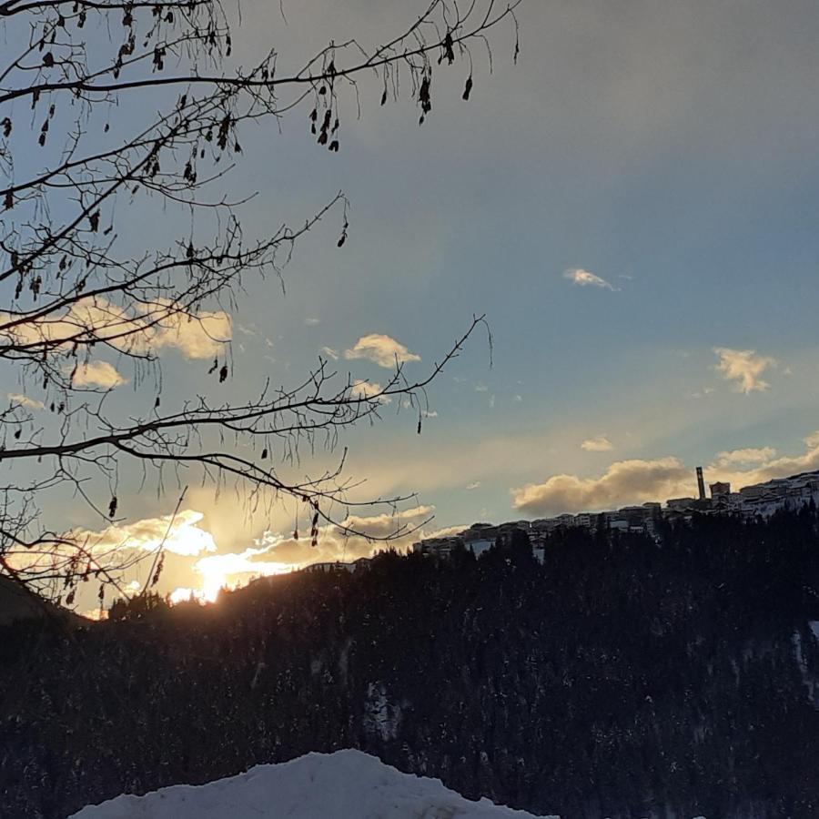 B&B Il Bucaneve Santo Stefano Di Cadore Zewnętrze zdjęcie